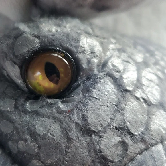 Set Of 3: Aurora & Jurassic World Dinosaurs - Picture 14 of 15